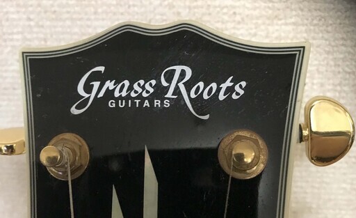 Grass Roots グラスルーツ エレキギター（アンプ、スタンド込）