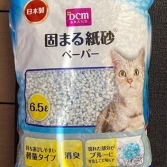 DCM 猫砂固まる紙砂(未使用品)