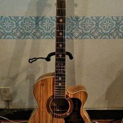 中古エレアコ　Techno（ソフトケース付） 中古エレアコ Techno（ソフトケース付）