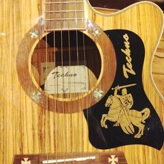 中古エレアコ Techno（ソフトケース付）