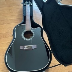 【ネット決済・配送可】Takamine 12弦ギター 美品