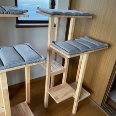 お取引先決まりました》キャットタワー コージデコ 二つ