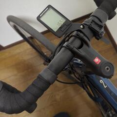 TREK DOMANE AL2  サイズ49