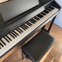CASIO セルビアーノ AP-460BKの通販はau PAY マーケット - 輸入雑貨の 
