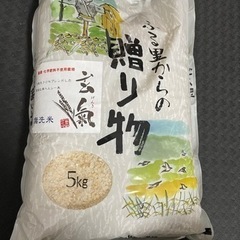 ✨無農薬✨米5kg(無洗米)
