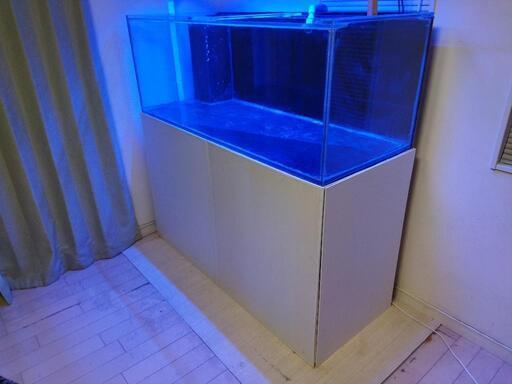 ガラスの水槽 1500x600x高さ550