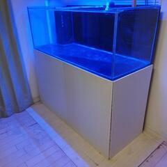 【ネット決済】ガラスの水槽 1500x600x高さ550