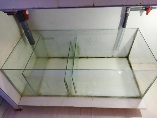 ガラスの水槽 1500x600x高さ550