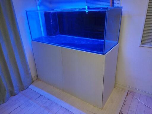 ガラスの水槽 1500x600x高さ550 ガラスの水槽 1500x600x高さ550