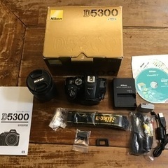 D5300 ニコン Nikon 16/85レンズ おまけ