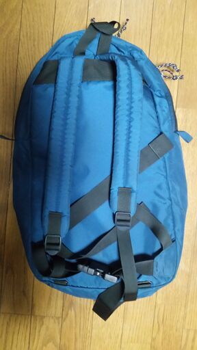 売ります】Patagonia パタゴニア ウエットアンドドライ バックバック