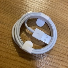 未使用 Apple Lightning - USBケーブル（1 m）