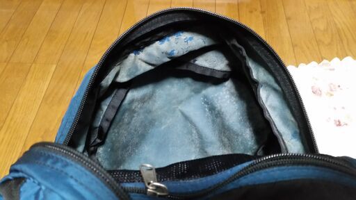 売ります】Patagonia パタゴニア ウエットアンドドライ バックバック