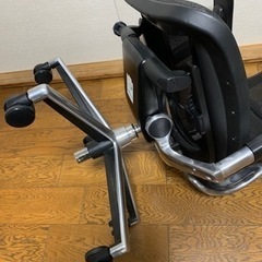 ⭐︎エルゴヒューマン・ベーシック（引き取り限定）⭐︎