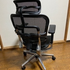 ⭐︎エルゴヒューマン・ベーシック（引き取り限定）⭐︎