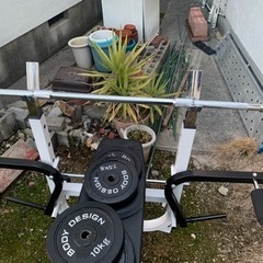 body design マルチベンチプレス