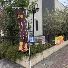 岡田ほごねこ譲渡会 - 展示会