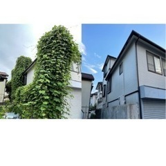 《見積無料》草むしり、剪定、草刈など　自宅庭、駐車場、空き家、管理物件などなど − 神奈川県