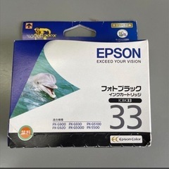 EPSON ICBK33