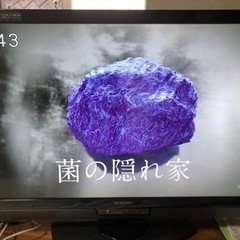 シャープ　AQUOS   40インチ　2010年製　液晶テレビ　...