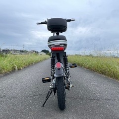 【史上最強】フル電動自転車 航続距離100km 最高速度30km/h超