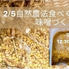 【平塚・伊勢原】2/5(日)自然農法大豆で食べくらべ味噌づくりWS