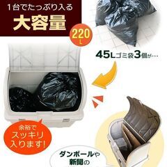 ゴミ箱 屋外 大容量 分別ストッカー（仕切り付き） 220L ベージュ ごみ箱 ダストボックス ベランダ