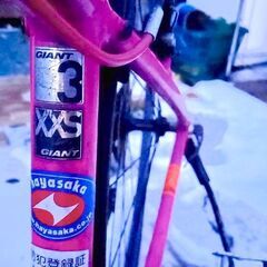お買い得】GIANT ジャイアント　ピンク　XXS　GIANT3