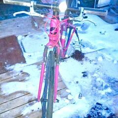 お買い得】GIANT ジャイアント　ピンク　XXS　GIANT3