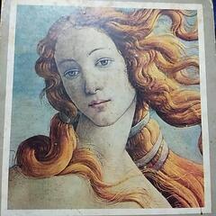 da Vinci / Raffaello　美術本