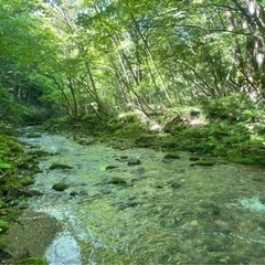 渓流釣り