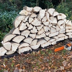 広葉樹の薪