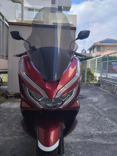 ホンダ　PCX　JF81