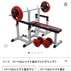 ベンチプレス・ダンベル・セーフティー100KGセット