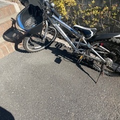 自転車差し上げます　　