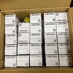 マルヤス　パイロットランプ