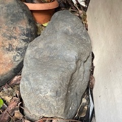 庭石(最大辺 約40センチ)  無料