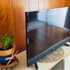 ✨液晶テレビ 24型✨