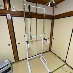 【お値下げ・取引期限2/9に変更】ぶら下がり健康器 フィットネス...