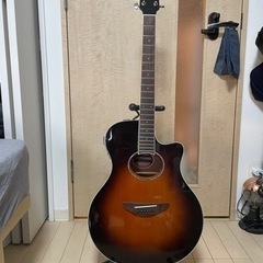 ギター　YAMAHA APX600 plus パークとスタンド