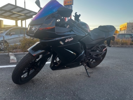 1ヶ月限定値下中！！Kawasaki ninja250r