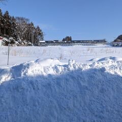 家の出入り口のみの除雪をお願いしたい