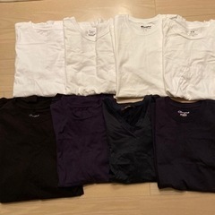 ブランド　Tシャツ　8点セット