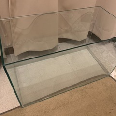 ガラスの水槽