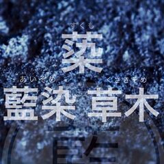 スクモ、藍染、藍建て、草木染めの全てを１日で学べる究極の体験教室！発酵は全て「手作り」から！（常総市）