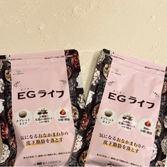 【ネット決済・配送可】egライフ ダイエットサプリ　2袋