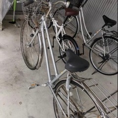 自転車(なんでもいいひと向け)