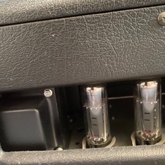 Ceriatone TW clone Expression