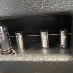 Ceriatone TW clone Expression