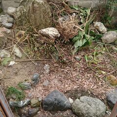 庭の残土と石(軽トラ1台分)